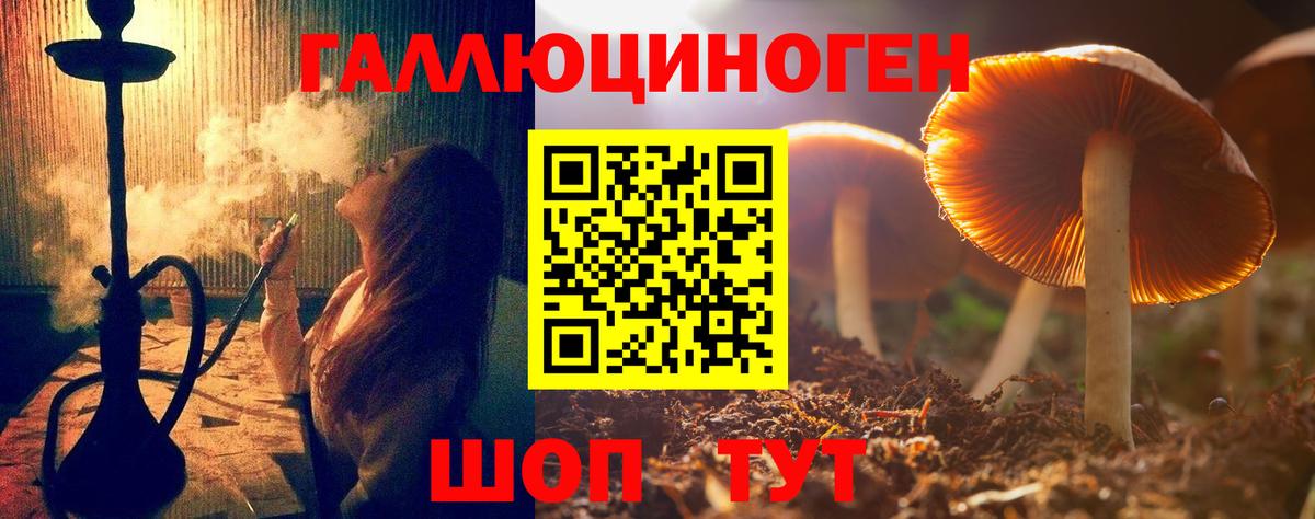 Псилоцибиновые грибы Cubensis Боровичи